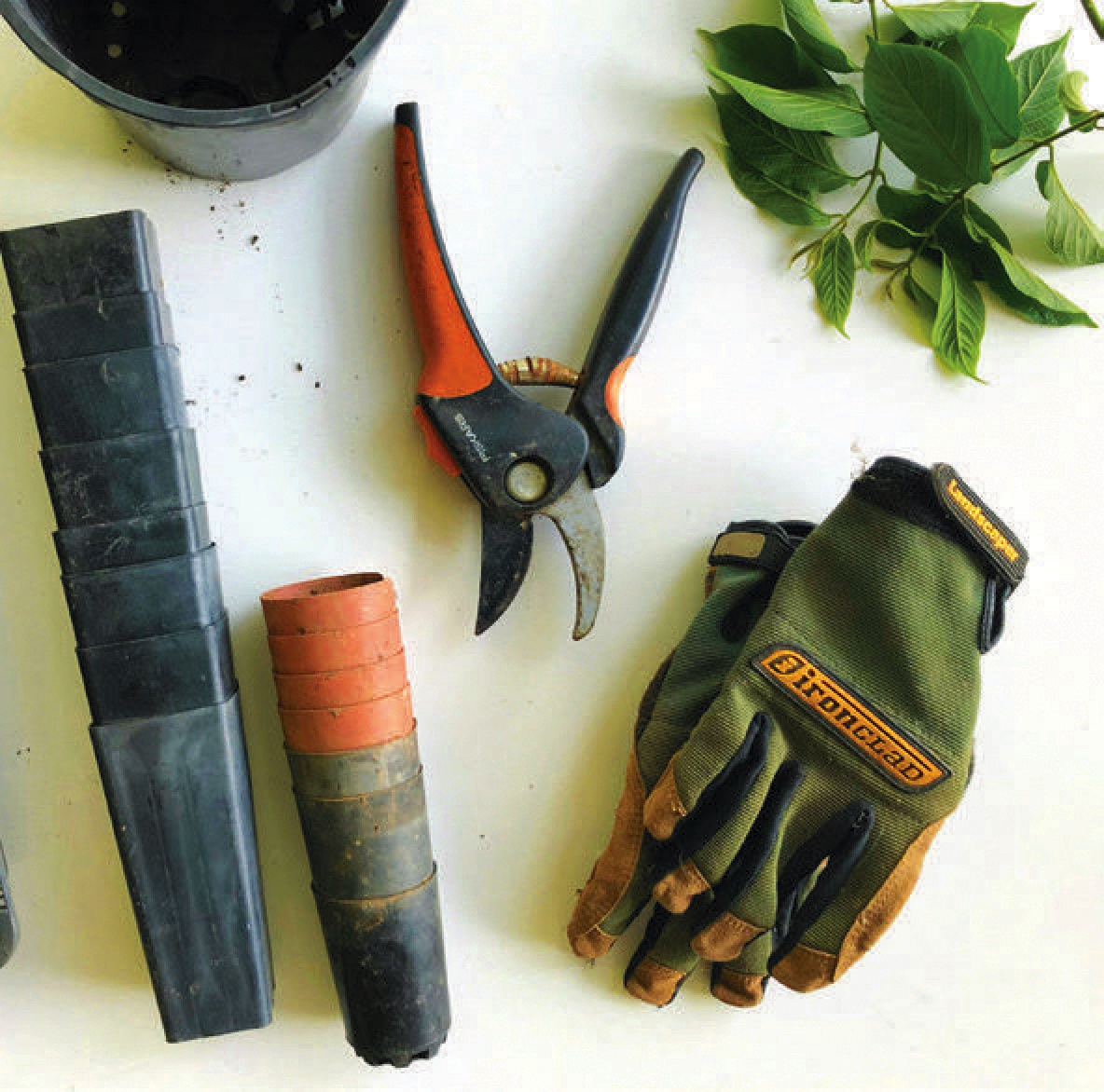 gardening tools laid out on a table