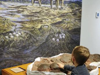 mural of dinosaurs and boy touching a fossil