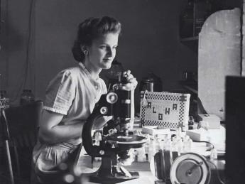 Ursula Bailey working in a Harvard geology laboratory, 1945