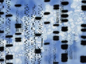 Computer artwork of an autoradiogram of DNA sequences. 