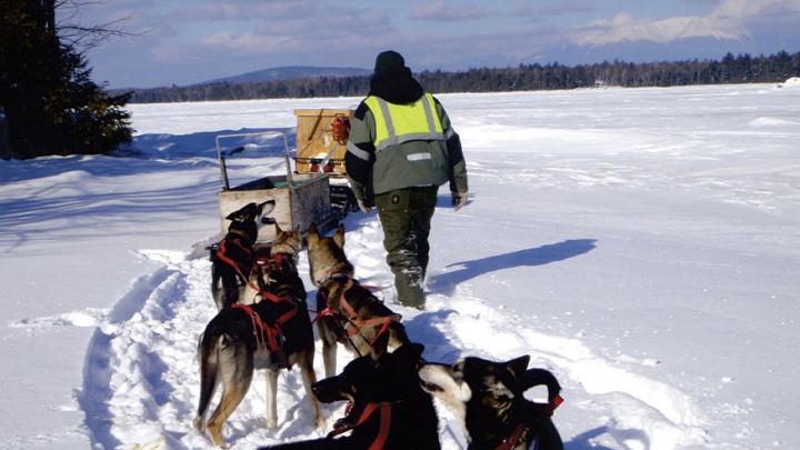 Nahmakanta owner Don Hibbs says his dogsledding runs offer a “one- or two-day adventure for people who love animals.”