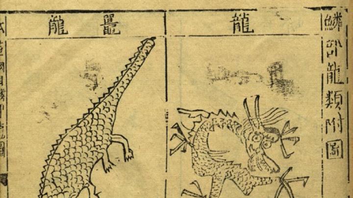 Pages from a first edition of the <i>Bencao gangmu</i> illustrate insects demonic and quotidian (previous image) and assorted dragons and their bones, all prescribed by Li for use in medicinal drugs.